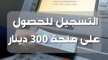 من هنا.. خطوات التقديم على منحة تونس 300 دينار