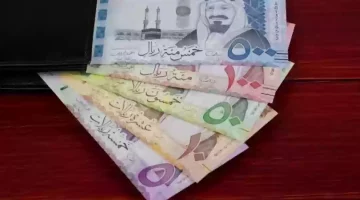 استقرار سعر صرف الريال السعودي في البنوك المصرية اليوم السبت 17 أغسطس 2024