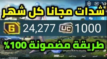 اشحنها وانطلق.. تعرف على طريقة استخدام بوت شدات ببجي iq