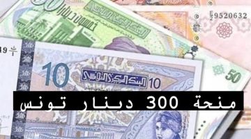 التسجيل في منحة 300 دينار تونس والشروط اللازمة للحصول عليها