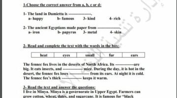 مراجعات نهائية.. لطلاب الصف الرابع الابتدائي.. أسئلة تقييم الاسبوع الـ 15 في اللغة الإنجليزية – وكالة يمن للأنباء