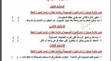 مراجعات نهائية.. أسئلة تقييم الاسبوع الـ 15 في الكمبيوتر لـ الصف الخامس الابتدائي  – وكالة يمن للأنباء