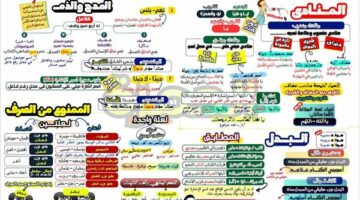 مراجعات نهائية في مقرر النحو ورقة واحدة لن يخرج عنها الامتحان لـ الصف الثالث الإعدادي – وكالة يمن للأنباء