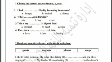 مراجعات نهائية.. لطلاب الصف الثالث الابتدائي.. أسئلة تقييم الاسبوع الـ 15 في اللغة الإنجليزية – وكالة يمن للأنباء