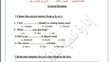 مراجعات نهائية.. لطلاب الصف الثالث الابتدائي.. أسئلة تقييم الاسبوع الـ 15 في اللغة الإنجليزية – وكالة يمن للأنباء