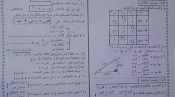 مراجعات نهائية.. أبرز 16 نقطة في ملخص نظري الهندسة في ورقة واحدة لـ الصف الثالث الإعدادي – وكالة يمن للأنباء