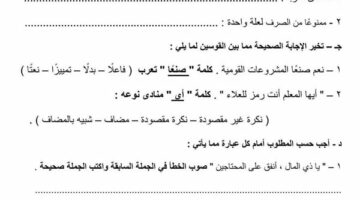 مراجعات نهائية.. قطع امتحانات النحو لمحافظات بني سويف والمنيا وأسيوط وسوهاج وقنا.. لن يخرج عنها الامتحان لـ الشهادة الاعدادية – وكالة يمن للأنباء