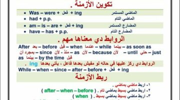 مراجعات نهائية.. أبرز قواعد اللغة الانجليزية في 4 ورقات لـ الصف الأول الثانوي – وكالة يمن للأنباء