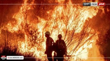 حاكم كاليفورنيا يشيد بمساعدة رجال الإطفاء المكسيكيين في مكافحة حرائق الغابات | العالم الآن – وكالة يمن للأنباء