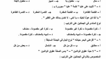 مراجعات نهائية.. قطع امتحانات النحو لمحافظات بورسعيد ودمياط وكفر الشيخ والبحيرة والفيوم.. لن يخرج عنها الامتحان لـ الشهادة الاعدادية – وكالة يمن للأنباء