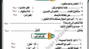 مراجعات نهائية.. ملخص النحو في 7 ورقات بالاجابات لـ الصف الثالث الابتدائي – وكالة يمن للأنباء