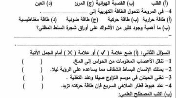 مراجعات نهائية.. 6 نماذج امتحان بالنظام الجديد في العلوم لـ الصف الرابع الابتدائي – وكالة يمن للأنباء